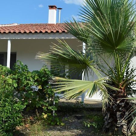 Litochoro Apartment In Estate A1 Exterior foto